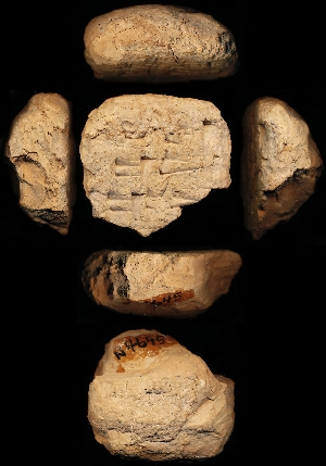 N4645
