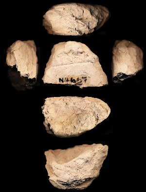 N4667