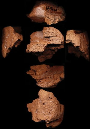 N4691