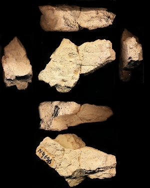 N4696