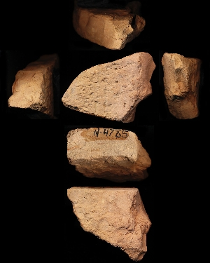 N4785