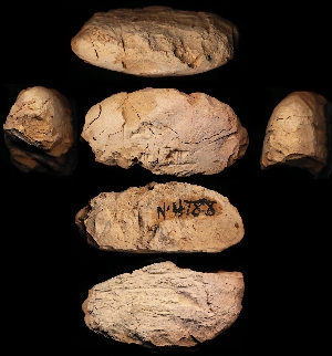 N4788