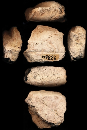 N4826