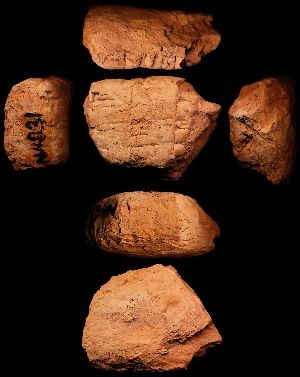 N4831