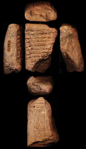 N4975