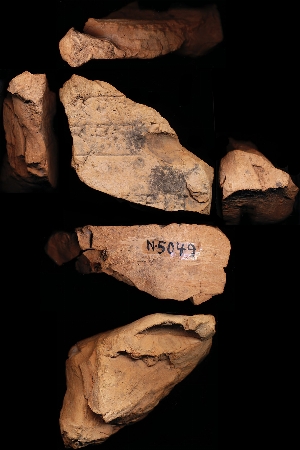 N5049
