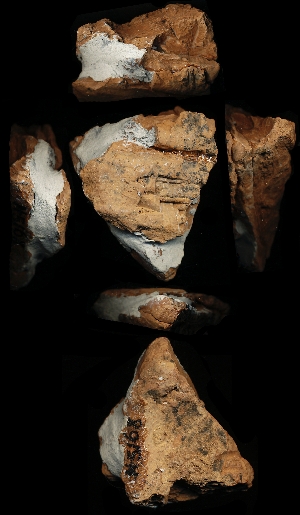 N5168