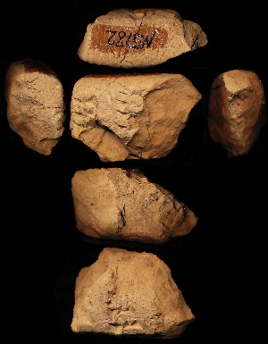 N5182
