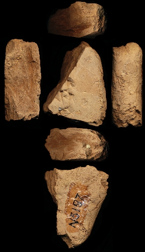 N5197