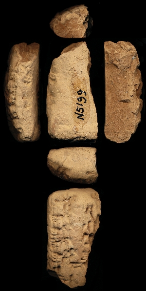 N5199