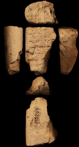 N5203
