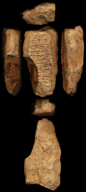N5231