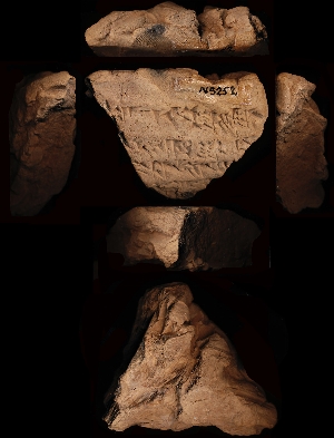 N5252