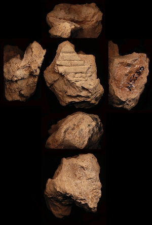 N5256
