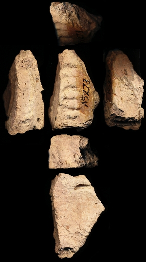 N5273