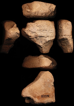 N5278