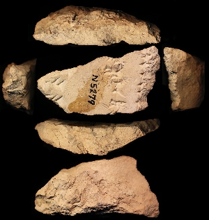 N5279