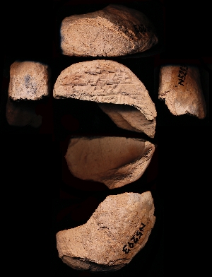 N5293
