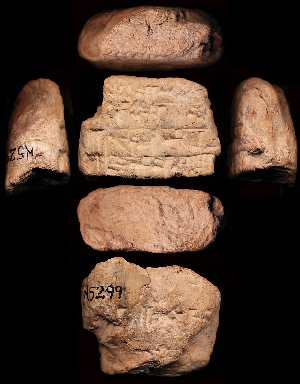 N5299