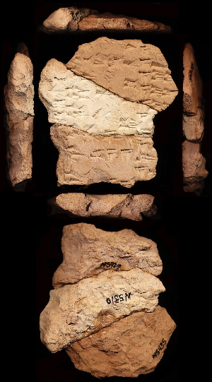 N5310