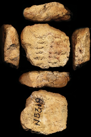 N5319