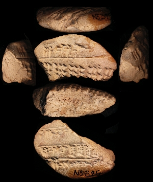 N5325