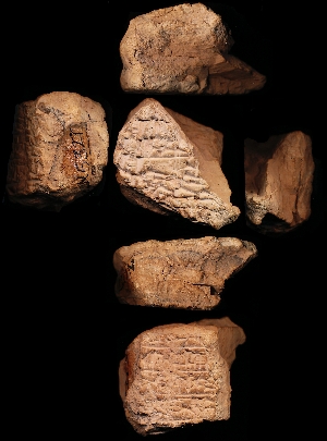 N5327