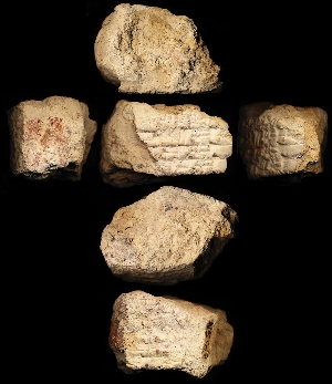 N5339