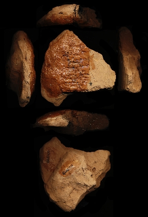 N5349