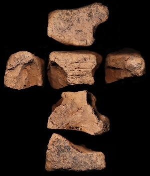 N5352