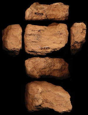 N5372