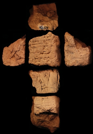 N5373