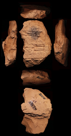 N5385