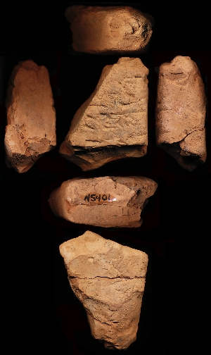 N5401