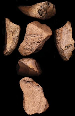 N5427