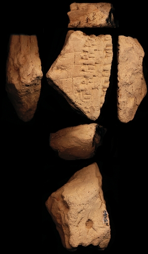N5460