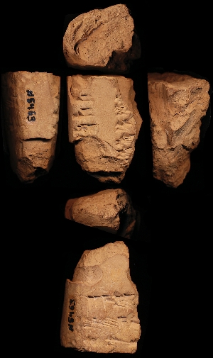 N5463