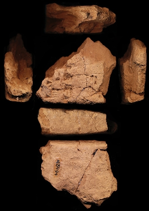 N5494