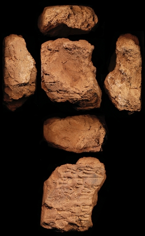 N5498