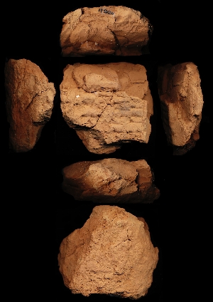 N5511