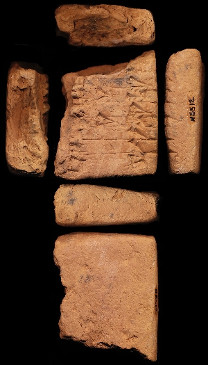 N5512