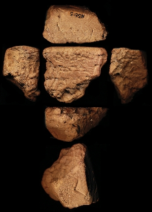 N5513