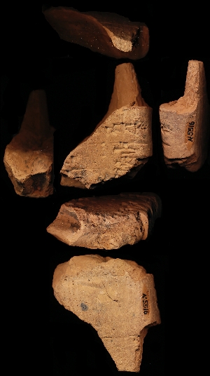 N5516