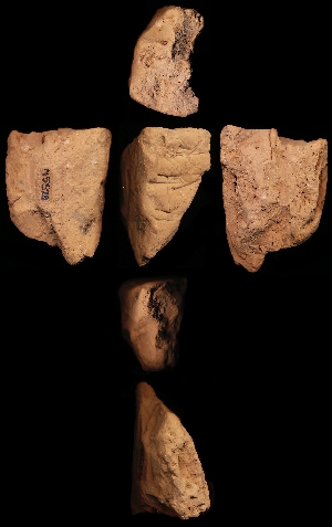 N5528