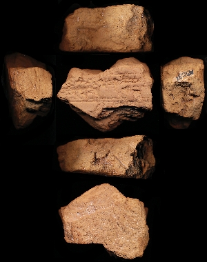N5531