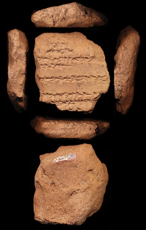 N5533
