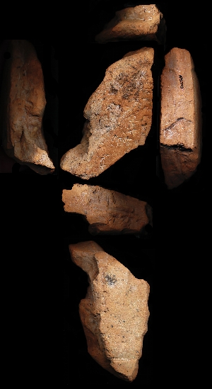 N5549