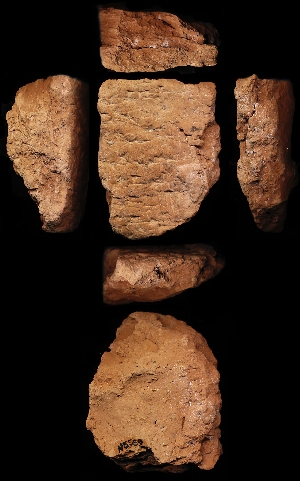 N5559