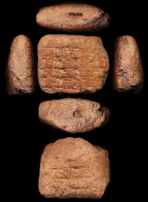N5560