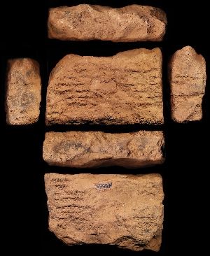 N5565